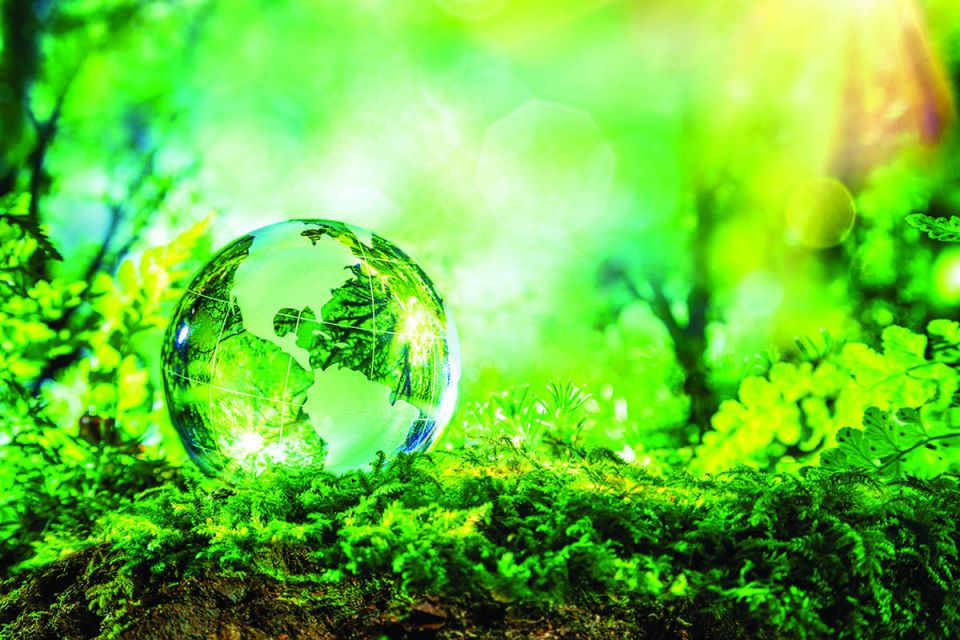 Destroying Nature,  Exploiting,  Humans Misusing,  Nature,  Unprecedent use